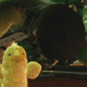 Image for article titled One Year Later, Did These E3 Xbox 360 Promises Come True?